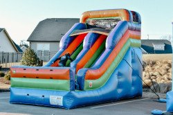 DSC 0296 1644462852 16' Foot Inflatable Slide Rental (Dry)