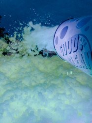 GLOW FOAM Party (30 mins=$375, 1 hr=$475, 2 hr=$550)