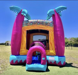 IMG 9473 1747774540 Miami Bounce