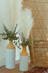 DSC 0028 1707158338 Rattan Peacock Chair