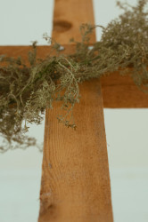 Cedar Cross DSC 0082 1707156713 Cedar Cross