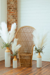 Rattan Peacock Chair