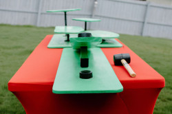 IMG 0578 1755544902 Frog Bog