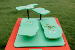 IMG 0579 1755544902 Frog Bog