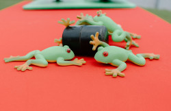 Frog Bog IMG 0580 1755544902 Frog Bog