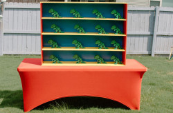 IMG 0582 1755544412 Dino Darts